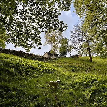 Pasiega Lo Macario Alpehytte Resconorio