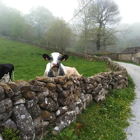 Pasiega Lo Macario Chalet *