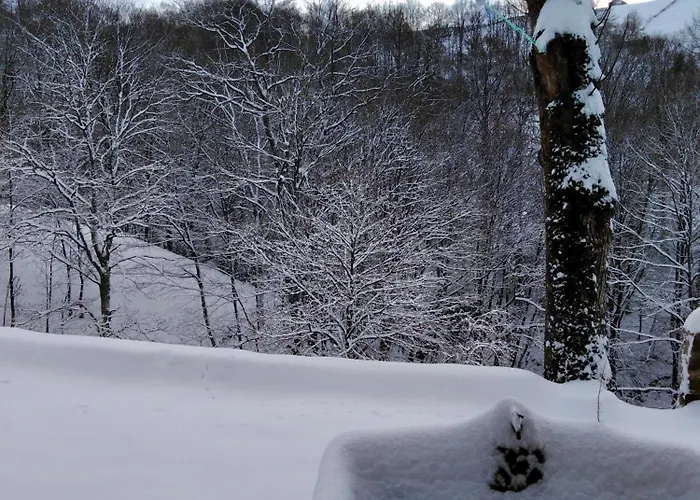 Chalet Pasiega Lo Macario Resconorio