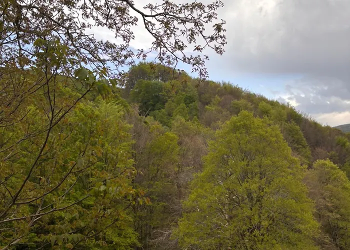 Chalet Pasiega Lo Macario *